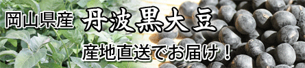 丹波黒大豆の特集ページへ