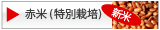 無農薬栽培赤米の特集