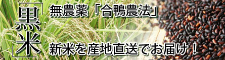無農薬合鴨農法の黒米が限定入荷です